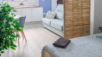 Appartamento Classic, vista parco | Postazione laptop, Wi-Fi gratuito