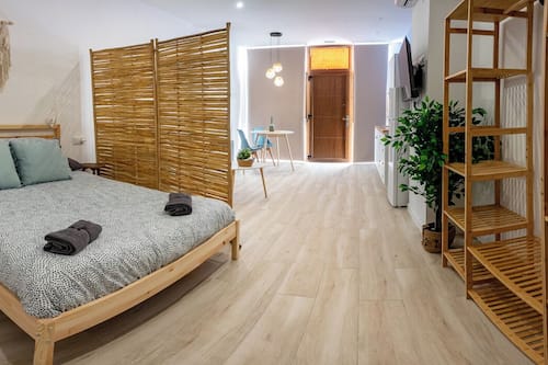 Apartamento clásico, vistas al parque | Espacio para trabajar con un portátil y wifi gratis