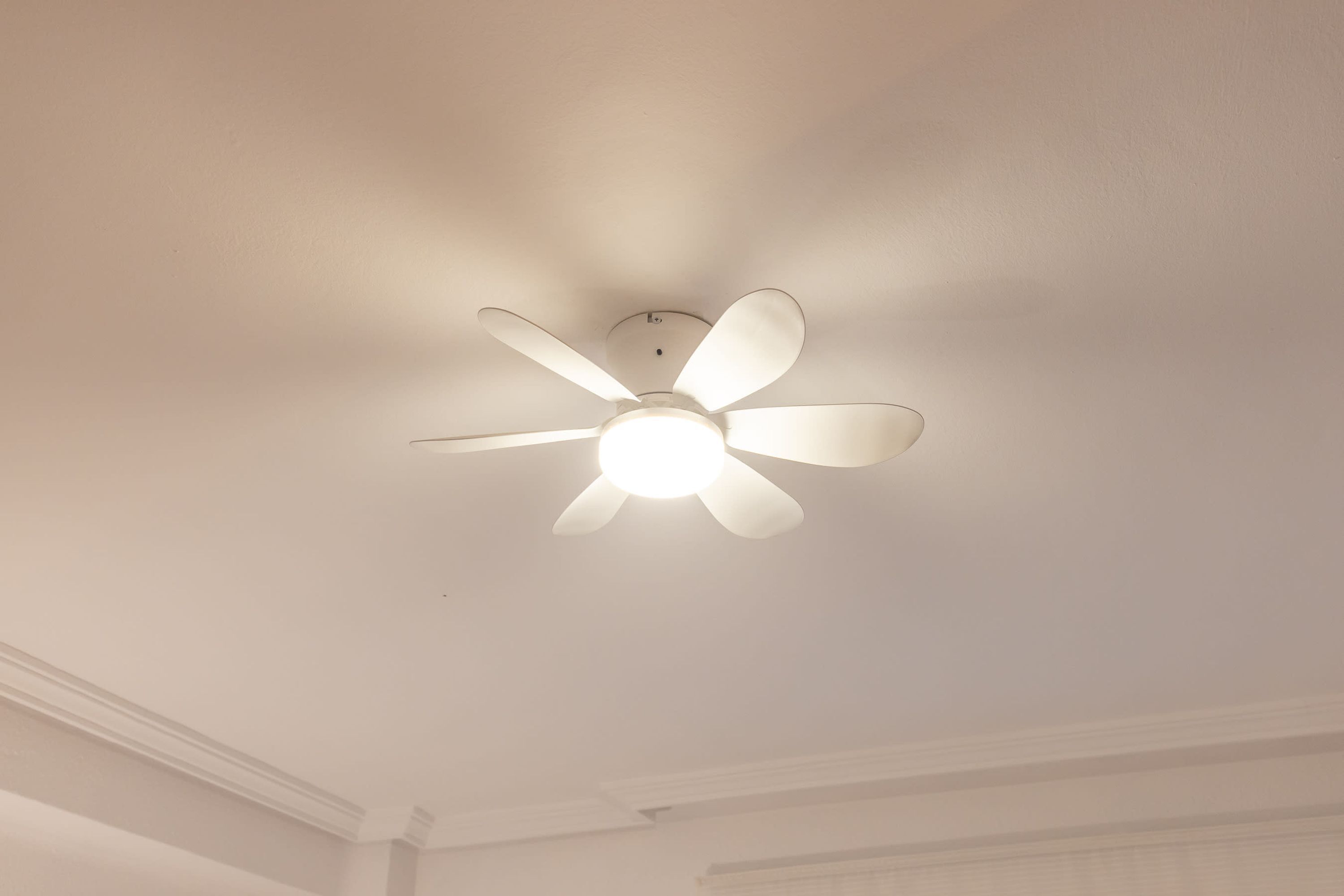 Ein Deckenventilator mit Lampenleuchte in einem Raum mit weißen Wänden und einem sichtbaren Winkel zur Decke.