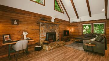 Smart TV, fireplace, books, music library