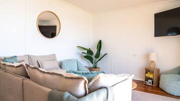 TV, computer monitors