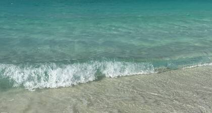 PENTHOUSE WITH PRIVATE ROOFTOP TERRACE 3 BR CONDO!!!