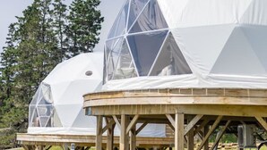 Structures en forme de dôme géodésique, avec des supports en bois, installées dans une zone herbeuse, avec des arbres en arrière-plan.