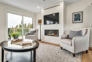 Smart TV, fireplace, books