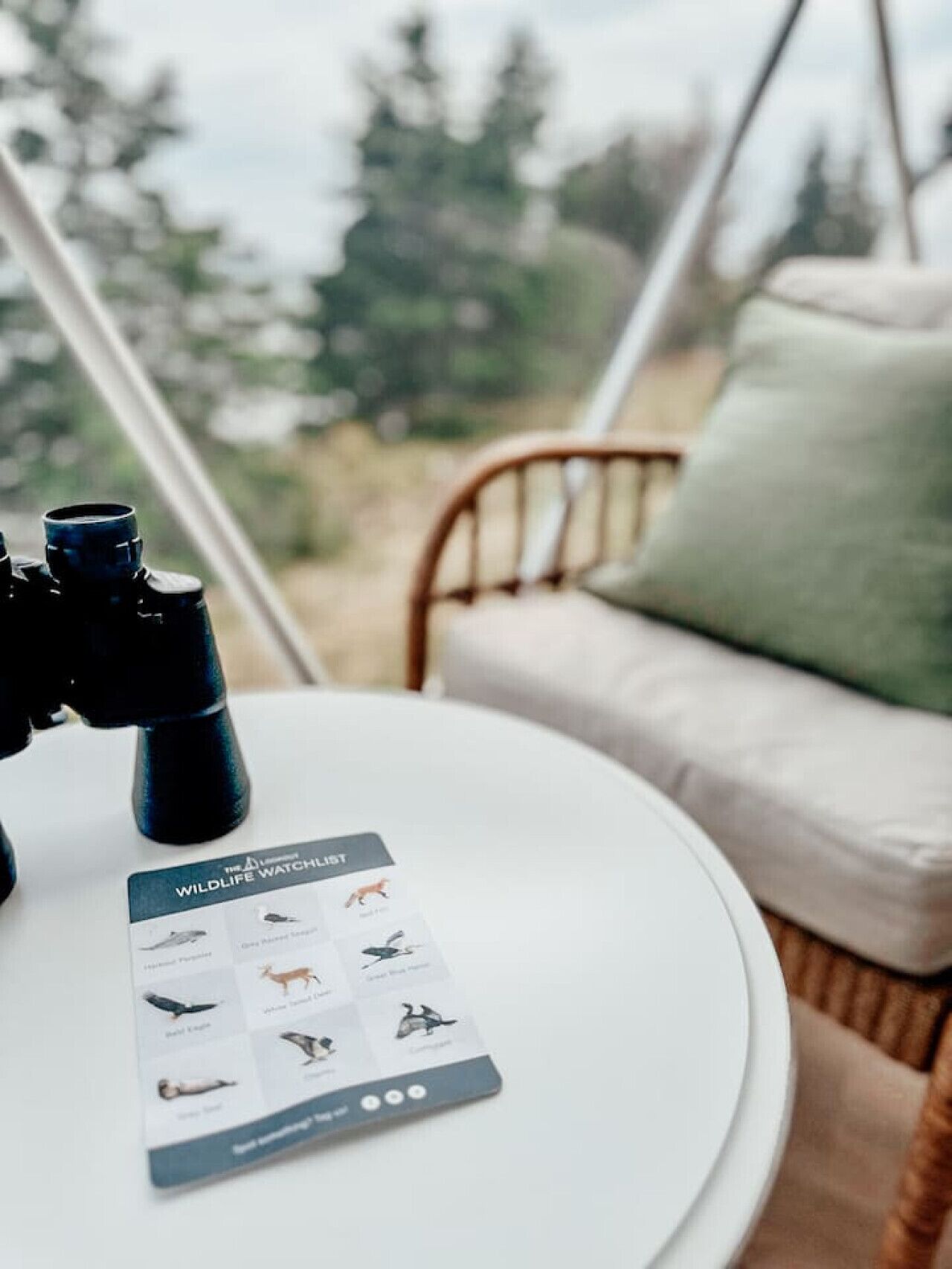 A table with binoculars and a wildlife watchlist.