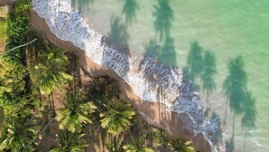 Una vista aerea di una spiaggia con palme e acque cristalline color turchese.