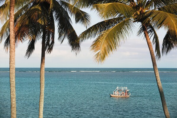 A boat on calm sea water with palm trees in the foreground. - Origem Patacho Design Hotel (Porto de Pedras)