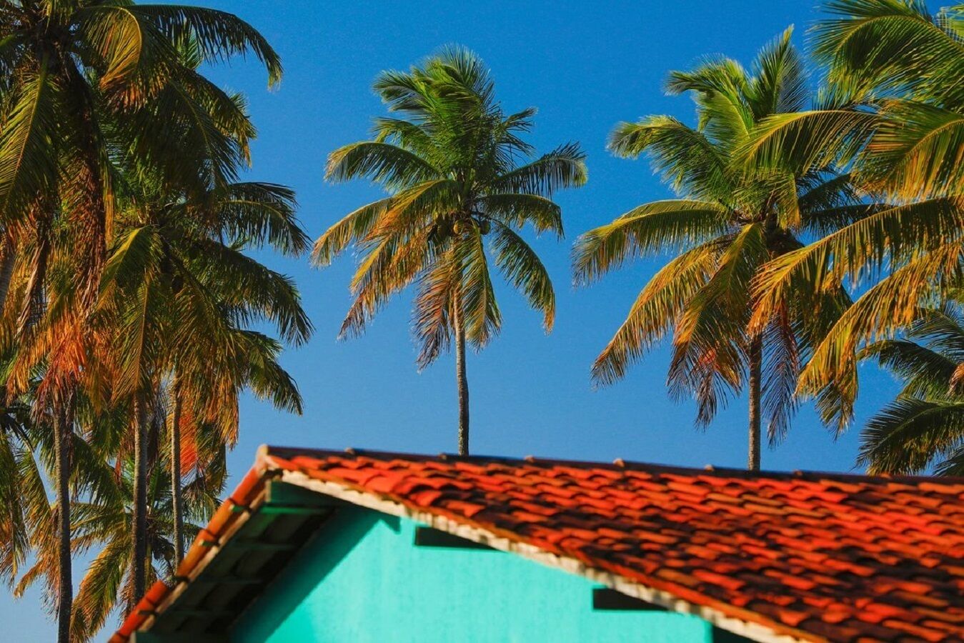 Taman