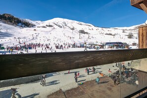 Sneeuw- en skisporten