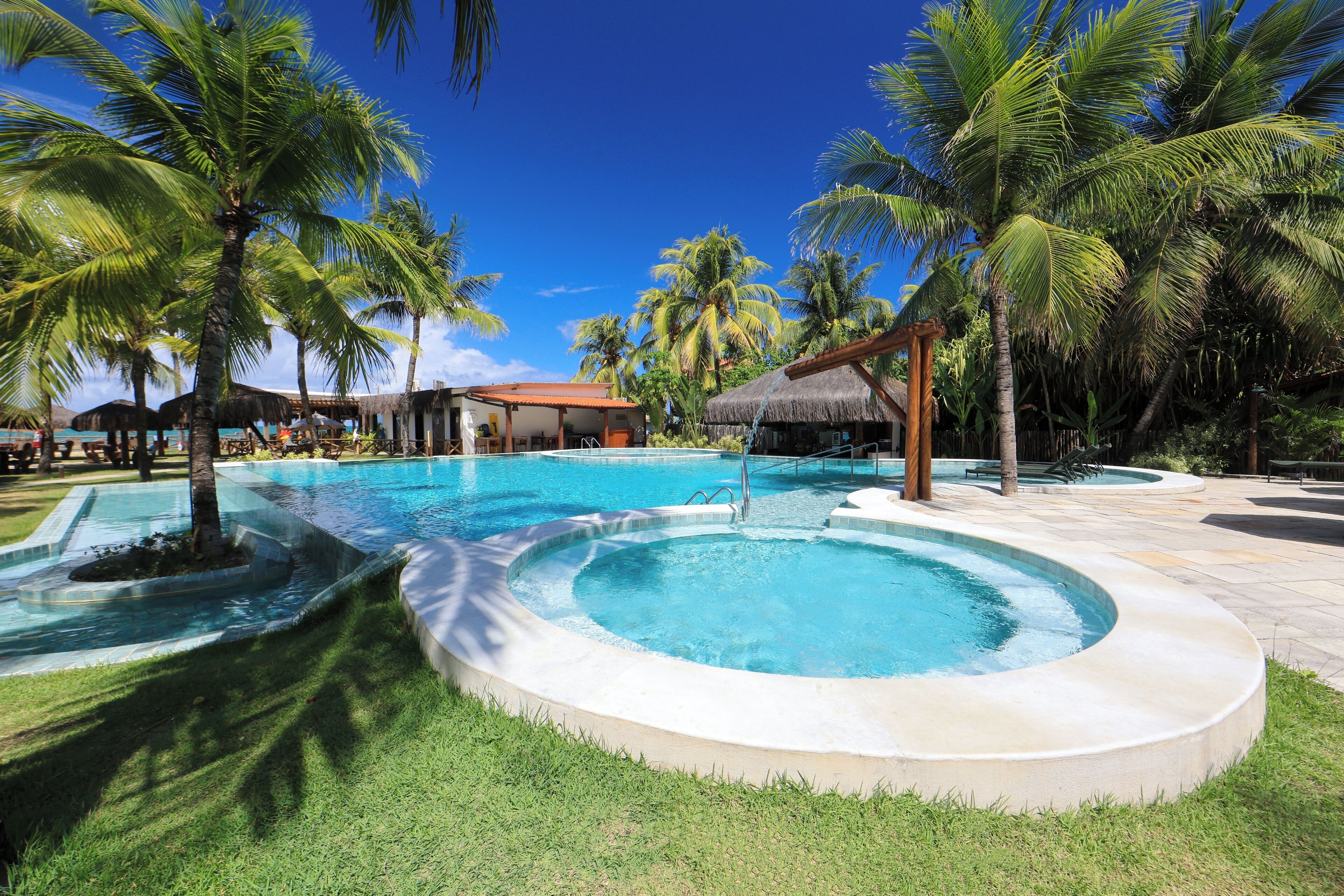 Una piscina rodeada de palmeras y una estructura con techo de paja.