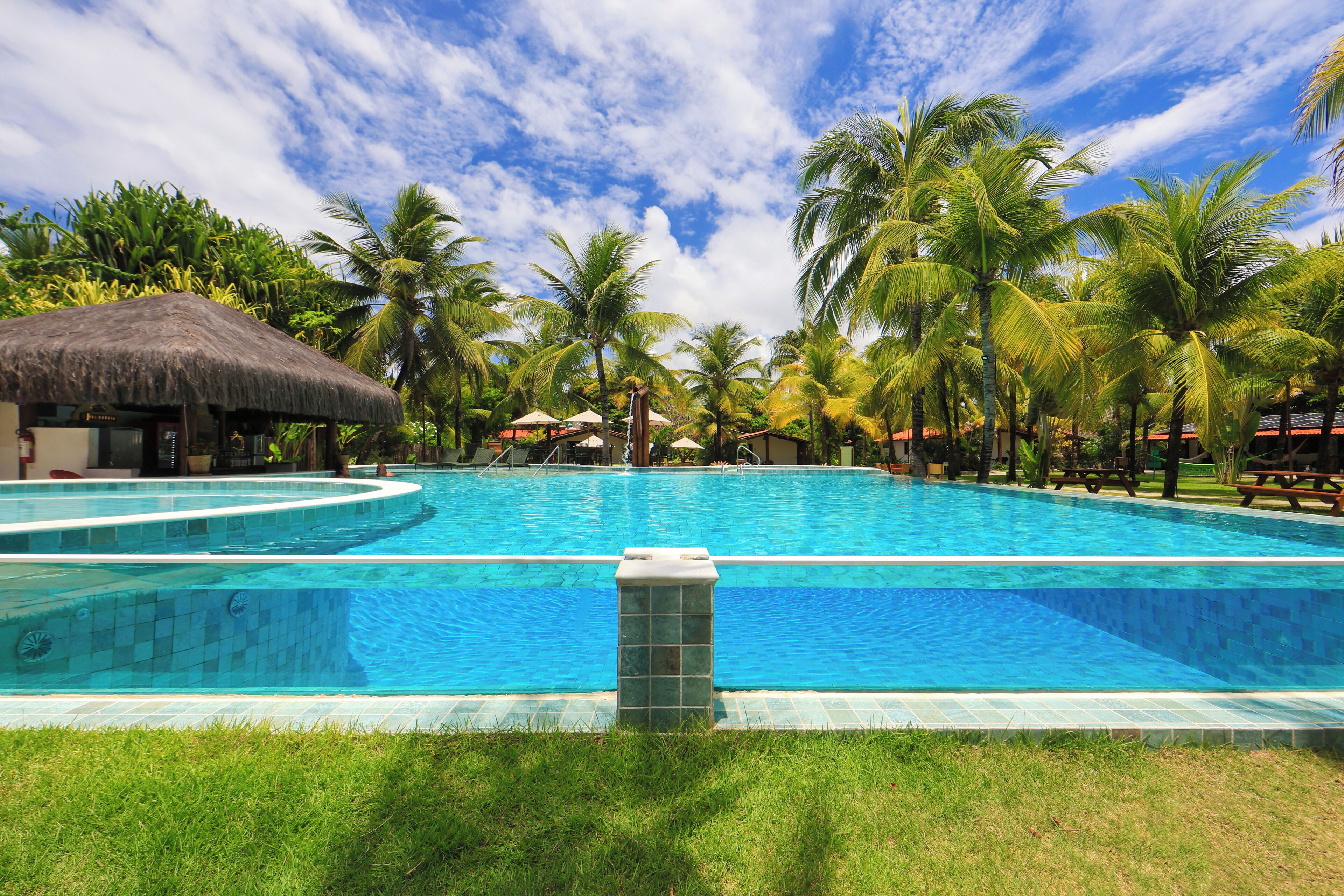 Una gran piscina rodeada de palmeras y una cabaña con techo de paja.