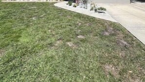 A two-story house with a small front yard and a satellite dish. - River City Retreat (Sanford)
