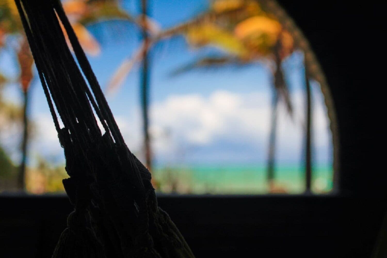 Foto - Pousada Ecoporto