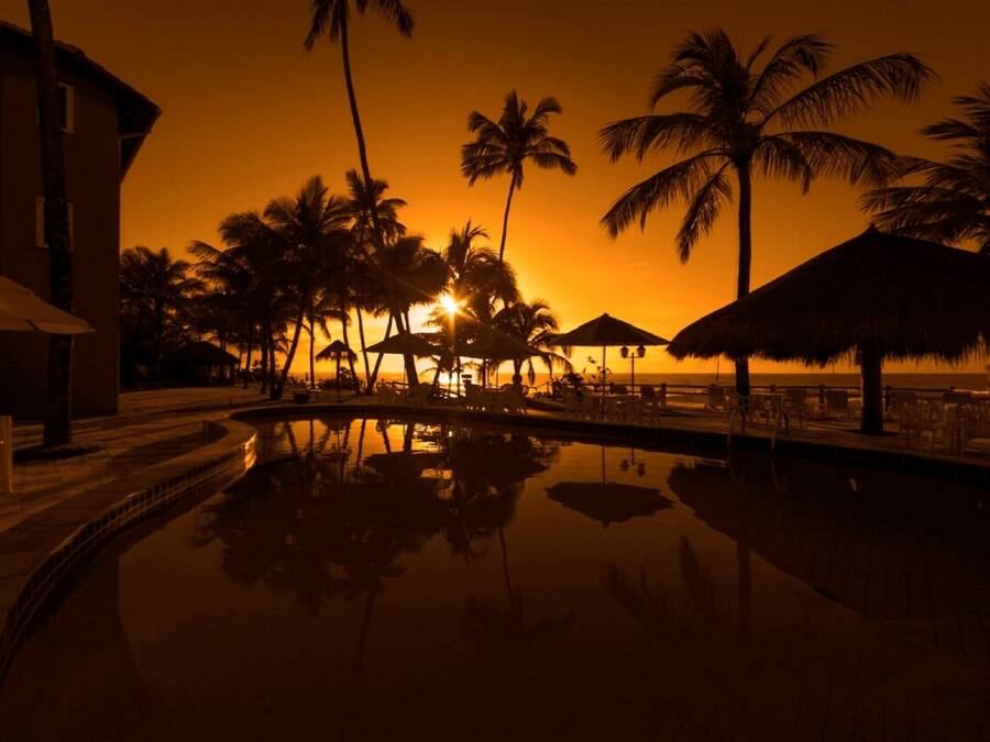Zona junto a la piscina con palmeras y sombrillas de techo de paja, reflejando el atardecer.