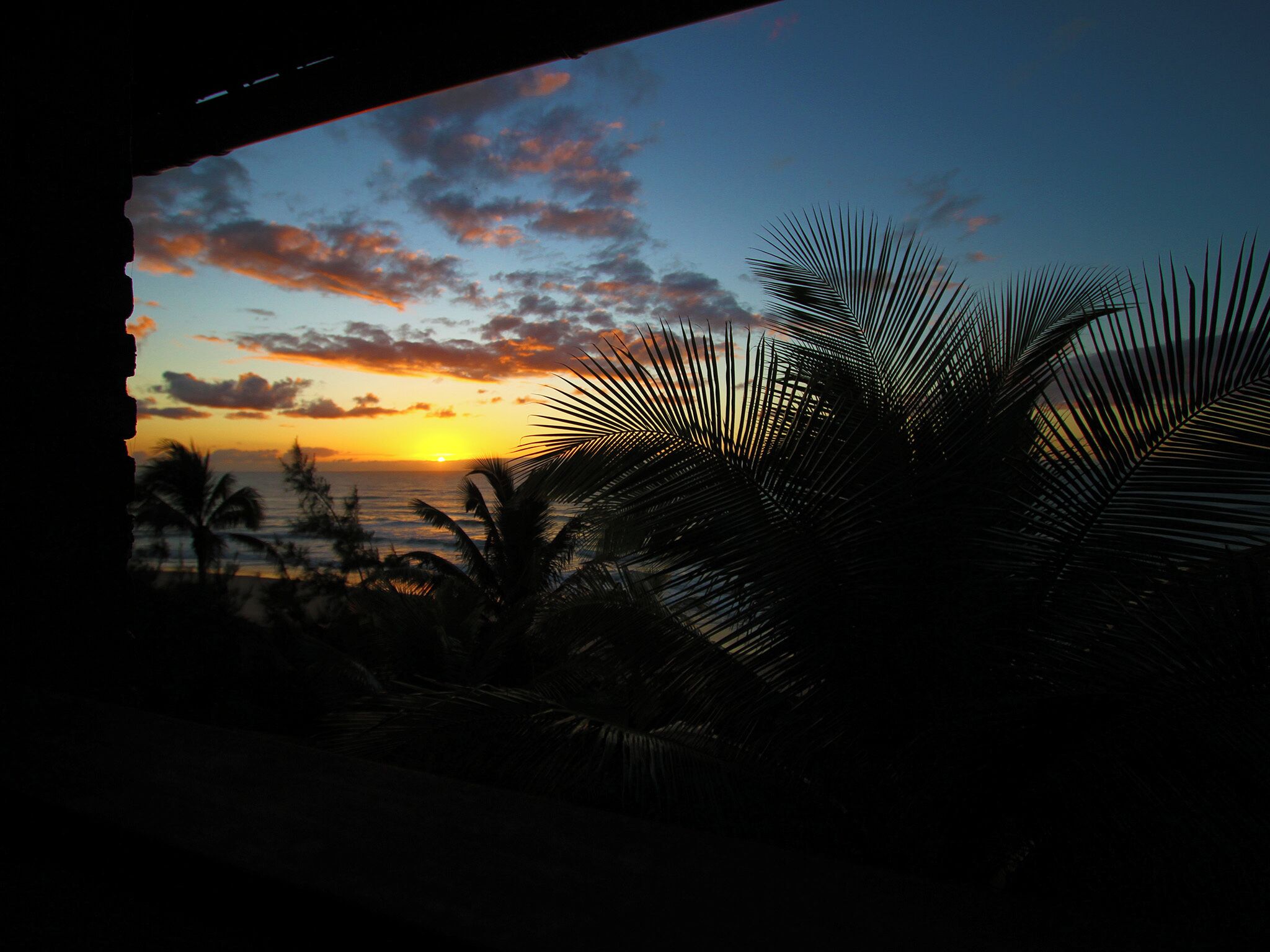 A sunset view through a window with palm leaves in the foreground.