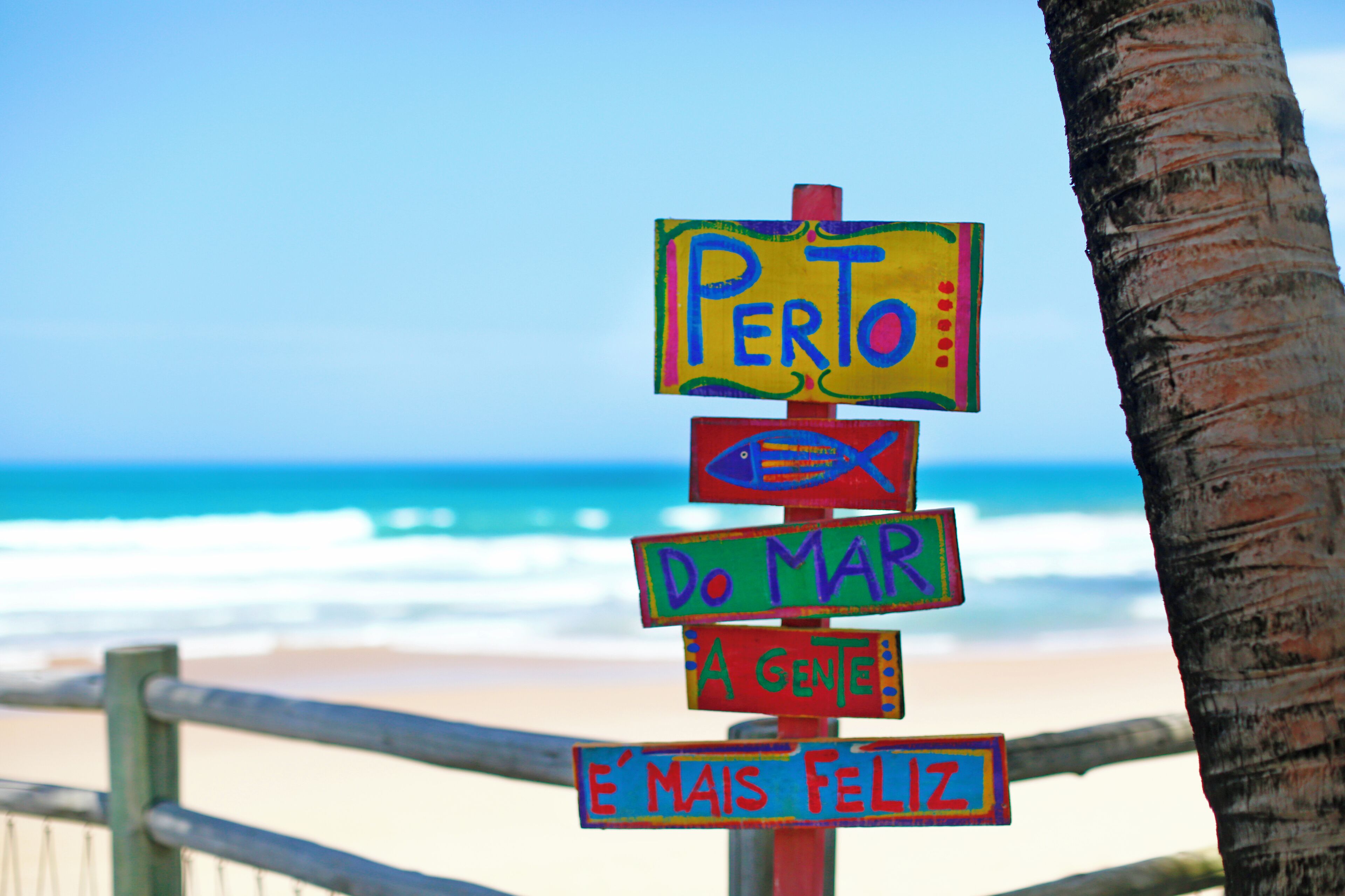 A colorful sign with text in a foreign language, a palm tree, and a beach with waves in the background.