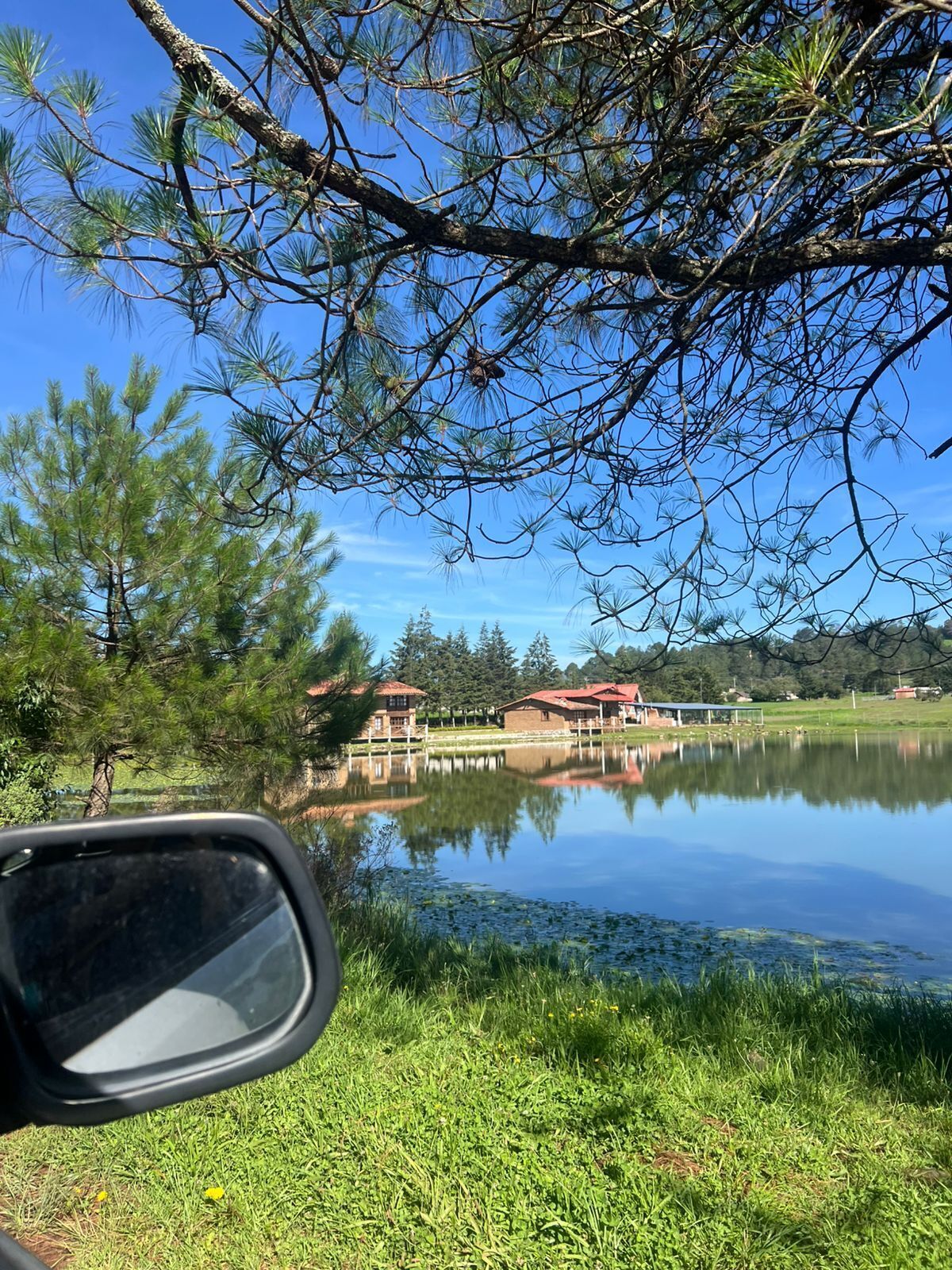Un lago con el reflejo de edificios, rodeado de árboles y hierba.