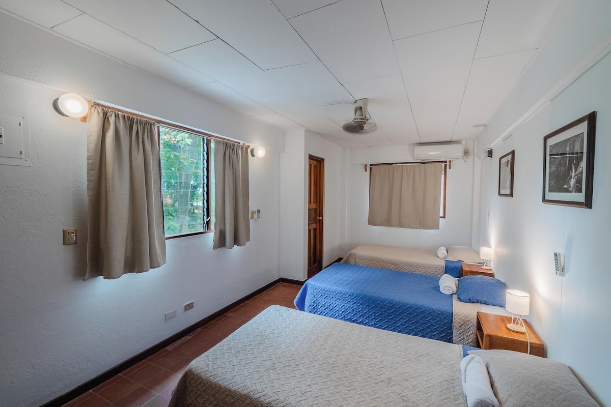 A room with two beds, a ceiling fan, and a window with curtains.