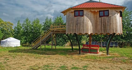 Cabane perchée sud Finistère : flower hut