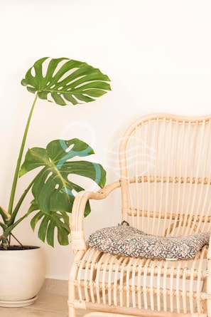 Cleanliness standards