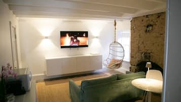 TV, fireplace, books, video library