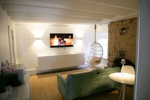 TV, fireplace, books, video library