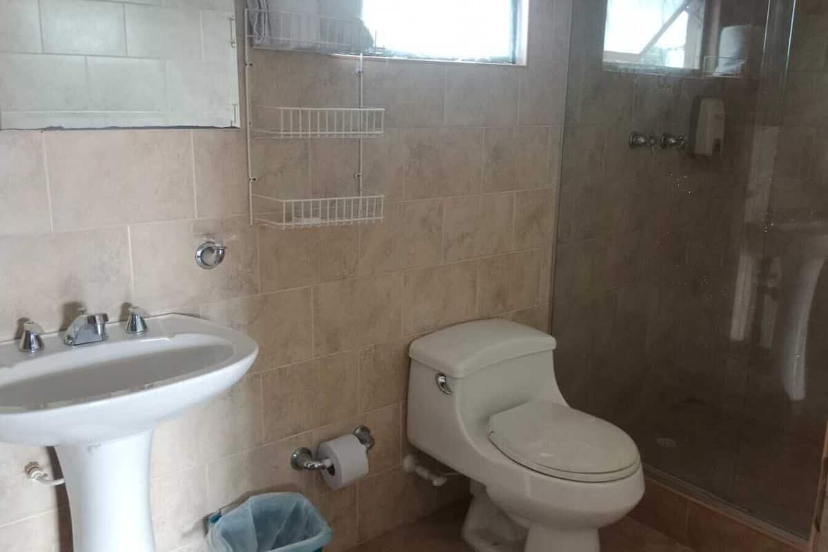 A bathroom with a sink, toilet, and shower.