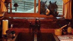 A rustic kitchen with a large window, wooden counter, and various kitchen items. - Rustic Luxury w/Horses-Historic Whiskey Distillery (Watsontown)