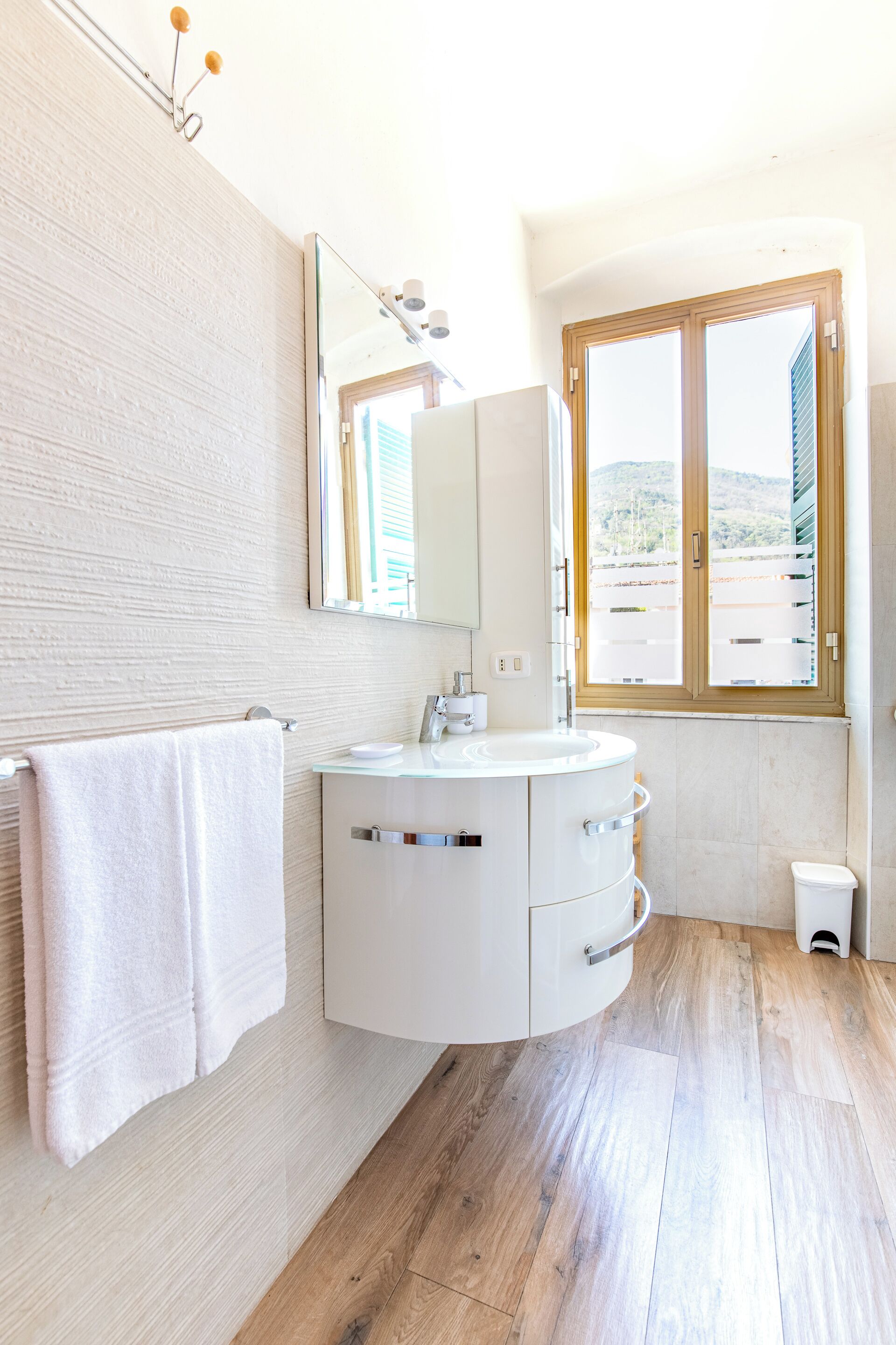 Shower, hair dryer, bidet, towels