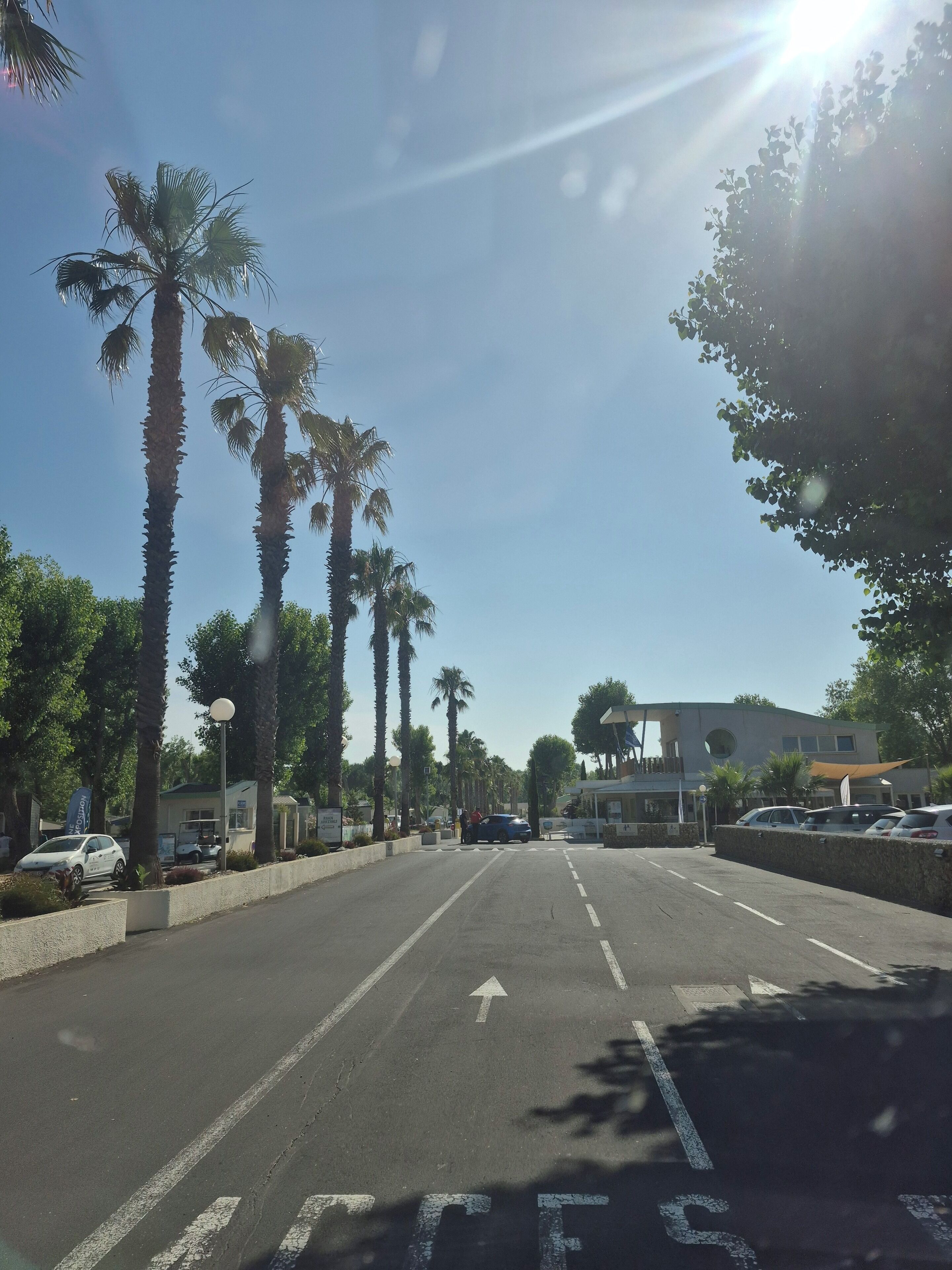 A street lined with palm trees and parked cars, leading to a building with a sign that reads "VINSION."
