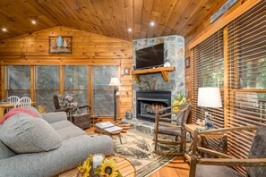 TV, fireplace, books