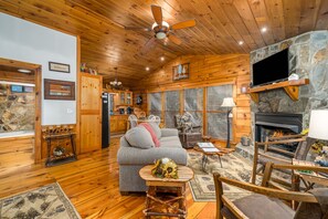 TV, fireplace, books