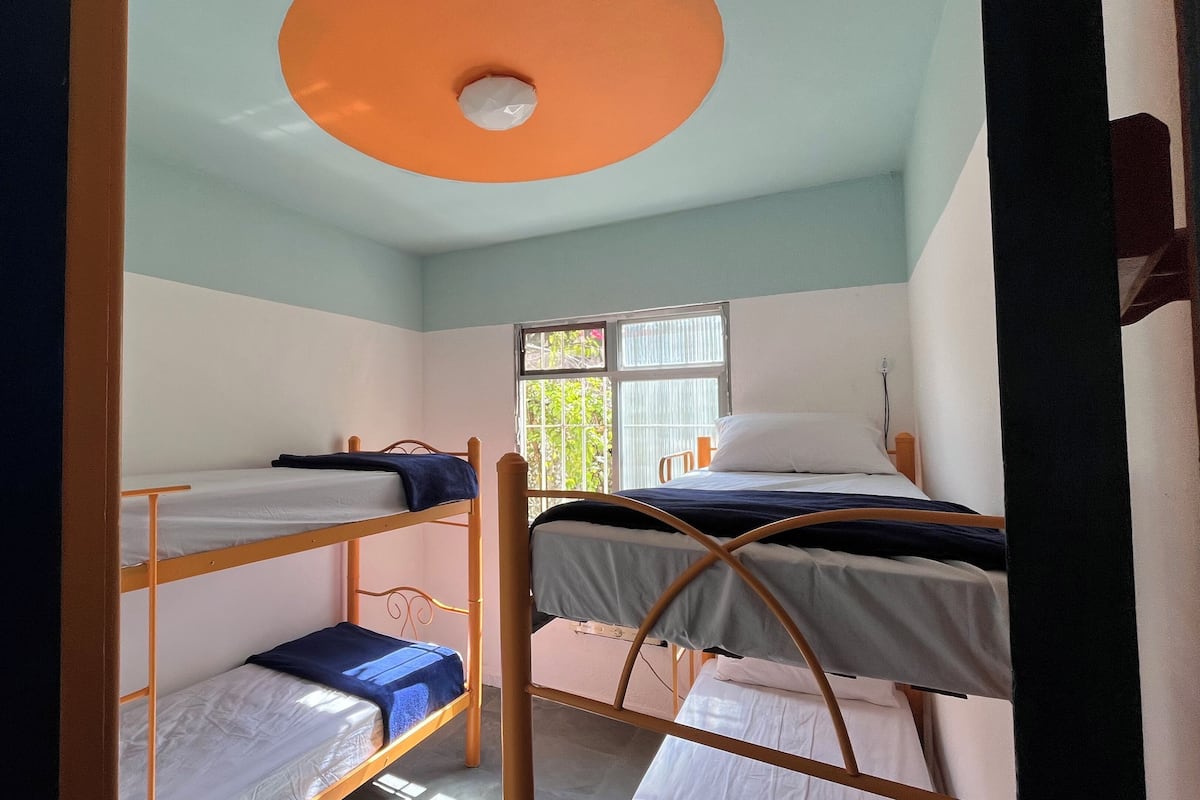 A dormitory room with bunk beds, a window with a view of greenery, and a ceiling light fixture.