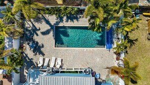 Una piscina en la azotea con agua cristalina, rodeada de palmeras y tumbonas, con vistas al paisaje urbano.