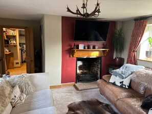 Smart-TV, Kamin, Bücher, Stereoanlage