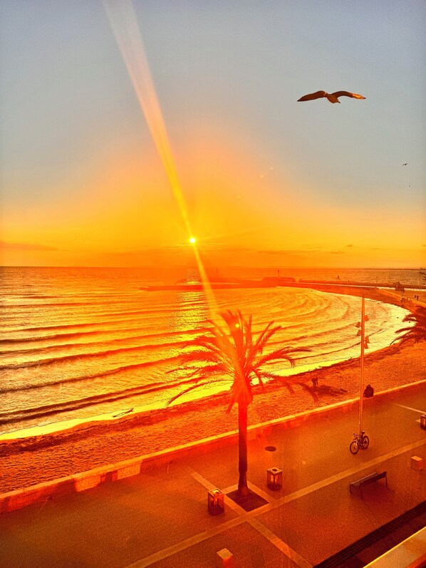 Beach - T2 seafront Grau du Roi superb view (Le Grau-du-Roi)