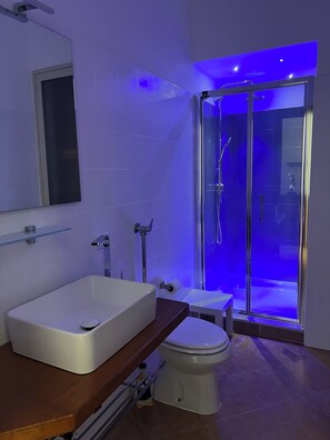 Regadera, secadora de cabello, bidet, toallas 