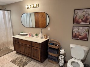 Hair dryer, towels, soap, toilet paper