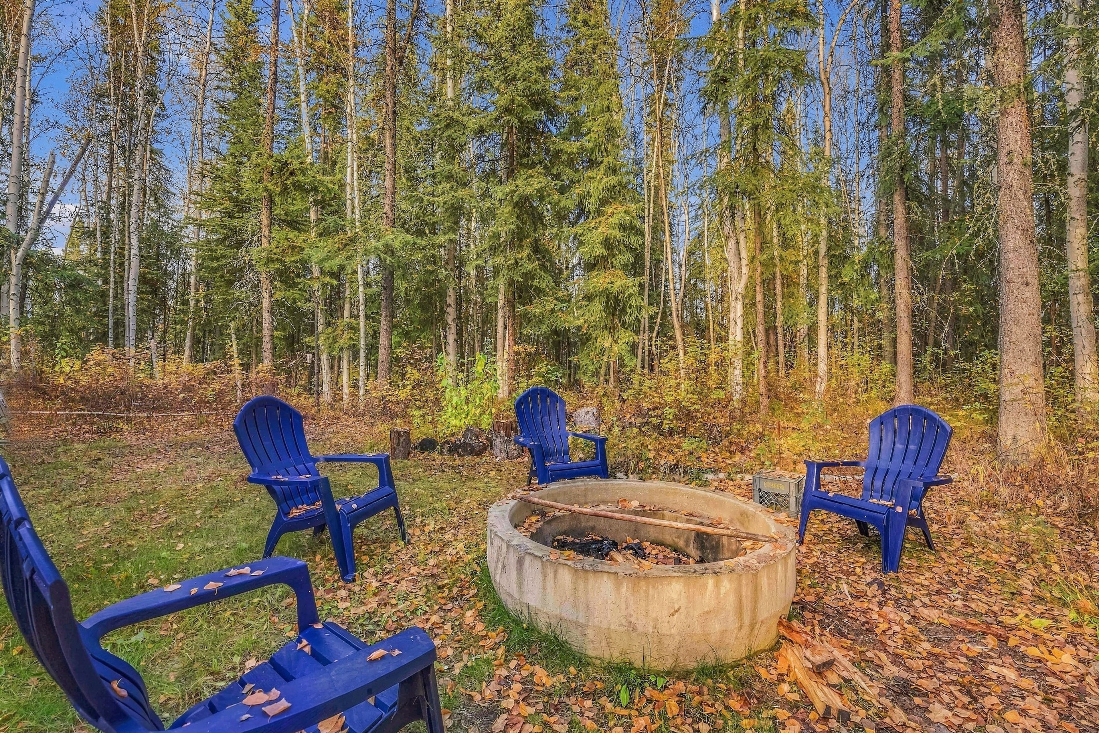 Un décor forestier avec un foyer et quatre chaises bleues disposées autour.