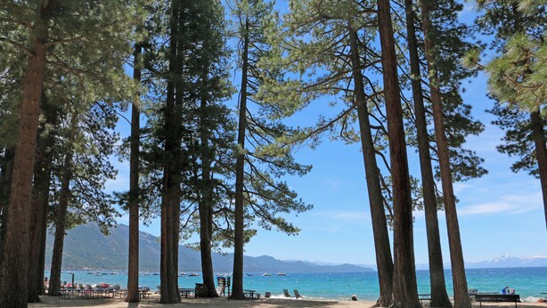 A beach with tall pine trees, a sandy area with benches, and a view of the sea and mountains in the background. - Charming 3-bedroom Ski Cabin on Golf Course in lovely Incline Village (Incline Village)