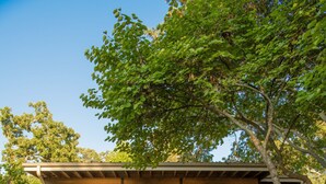 Ein zweigeschossiges Haus mit Balkon, Garage und Baum davor.