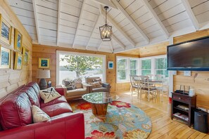 TV, fireplace, books