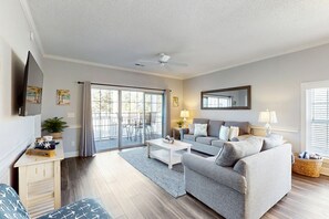 电视、DVD 播放器