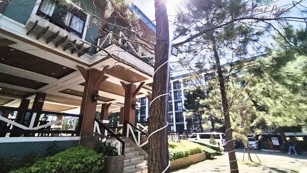 Un edificio con vestíbulo cubierto, escaleras y un árbol al frente.