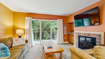 TV, fireplace, DVD player
