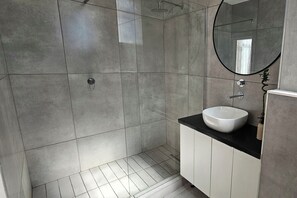 Shower, towels, toilet paper