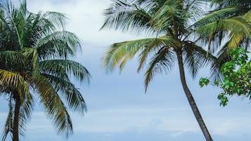 Estudio familiar, vistas a la playa | Vistas al mar