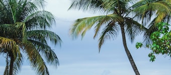 ESJ by PMI Puerto Rico