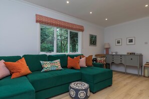 Smart TV, fireplace, books, stereo