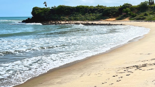 A beach with clear water, sandy shore, and greenery in the background.